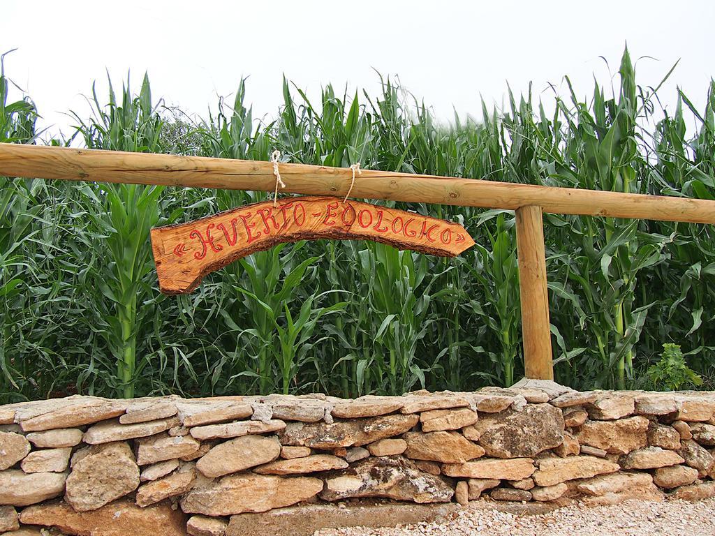 רונדה Alojamiento Rural La Pila מראה חיצוני תמונה